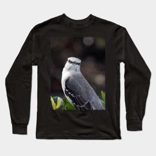 Looking at Me? Long Sleeve T-Shirt